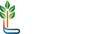 Lidea Girişim